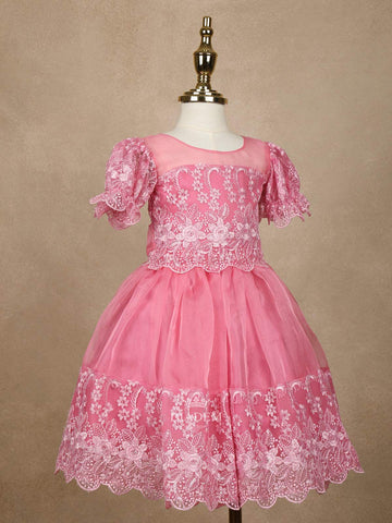 Pink Floral Embroidery Organza Party Wear Gown for Girls - Diadem