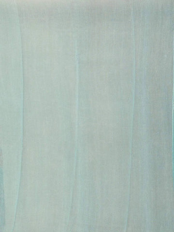 Light Blue Chanderi Silk Saree with Flower and Leaf Design On the Body with Designed Border - Diadem