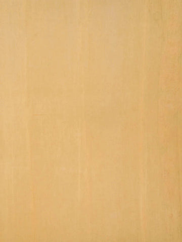 Sandal Chanderi Silk Saree with Flower and Leaf Print Design on the Body with Matching Border - Diadem