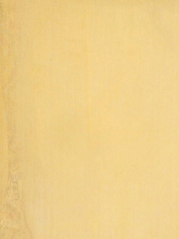 Mustard Yellow Chanderi Silk Saree with Floral Design on the Body with Matching Border - Diadem