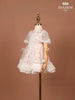 White and Pink Net Frock Adorned with Beads and Floral Laces - Diadem