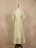 Pista Green with Ruffled and Stripes Pattern Gown - Diadem