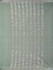 Aqua Green With Designed Border Cotton Saree - Diadem