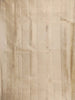 White Pure Kanchipuram Bridal Silk Saree with Floral Motifs on the Body with Matching Border - Diadem