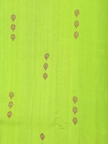 Light Green Banarasi Saree with Floral Design on the Body with Contrast Zari Border - Diadem