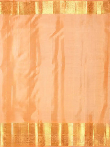 Sky Blue Pure Kanchipuram Silk Saree with Floral Designs on the Body and with Contrast Broad and Small Border - Diadem