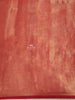 Red Orange Organza Saree With Solid Body And No Border - Diadem