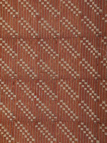 Rust Orange Chanderi Silk Saree with Checks and Stripes on the Body with Zari Border - Diadem