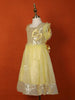 Light Yellow Net Gown Embellished with Sequins and attached Bow - Diadem