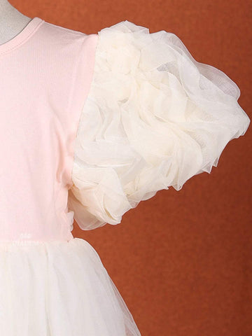 Sandal and Light Pink Net Gown with Puff Sleeves - Diadem