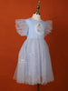 Light Grey Blue Net Gown Embellished with Glitters and Barbie Prints - Diadem