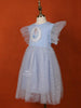 Light Grey Blue Net Gown Embellished with Glitters and Barbie Prints - Diadem