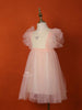 Light Pink Net Frock with Ruffle Sleeves and Attached Bow - Diadem