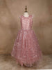 Light Pink Net Gown with Sequin Embellishments and Feather Sleeves - Diadem