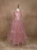 Light Pink Net Gown with Sequin Embellishments and Feather Sleeves - Diadem