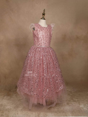 Light Pink Net Gown with Sequin Embellishments and Feather Sleeves - Diadem