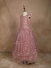 Light Pink Net Gown with Sequin Embellishments and Feather Sleeves - Diadem