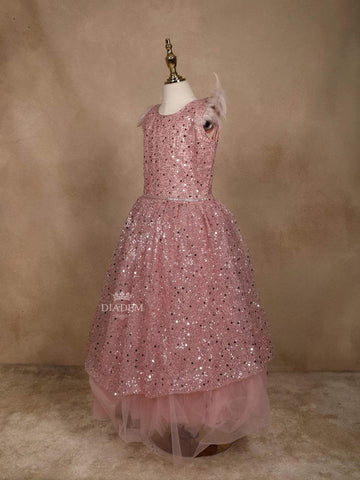 Light Pink Net Gown with Sequin Embellishments and Feather Sleeves - Diadem