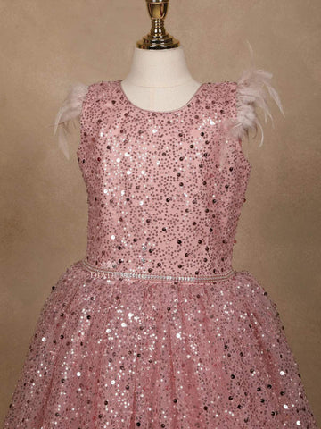 Light Pink Net Gown with Sequin Embellishments and Feather Sleeves - Diadem