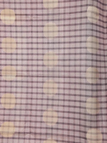 Light Grey Semi Tussar Silk Saree with Check and Circle Design on the Body with Thread Border - Diadem