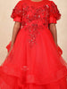 Red Net Gown Adorned with Floral Beads and 3D Flower Design without Dupatta - Diadem