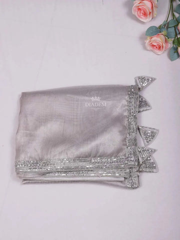 Ash Grey Tissue Organza Saree with body and Embroidery Border Paired with Designer Blouse - Diadem
