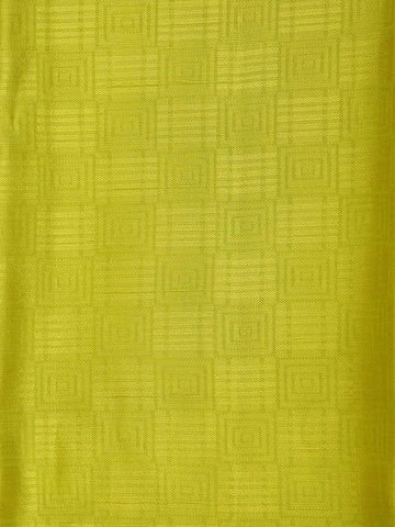 Light Green Pure Kanchipuram Bridal Silk Saree with Geometric Design on the Body with Zari Border - Diadem