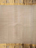 White Pure Kanchipuram Bridal Silk Saree with Zari Butta on the Body with Designed Border - Diadem