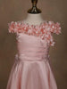 Light Peach Organza Gown Adorned with 3D Flowers - Diadem