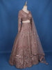 Pale Pink Floral Embroidery Lehenga - Diadem