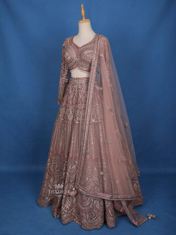 Pale Pink Floral Embroidery Lehenga - Diadem