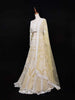 Light Yellow Net Bridal Lehenga with Floral Embroidery - Diadem