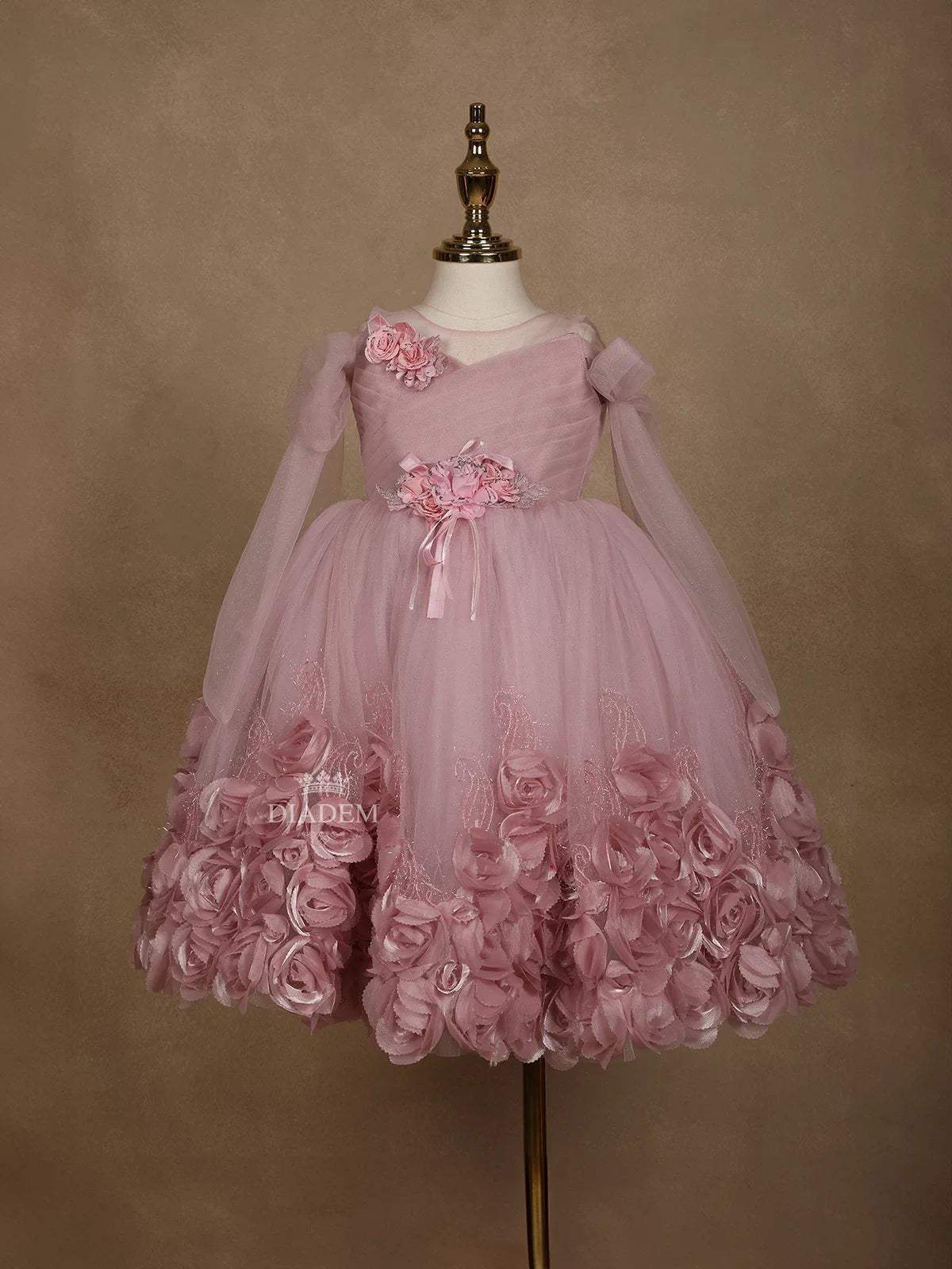 Light Pink Net Gown Embellished with 3DFlowers - Diadem