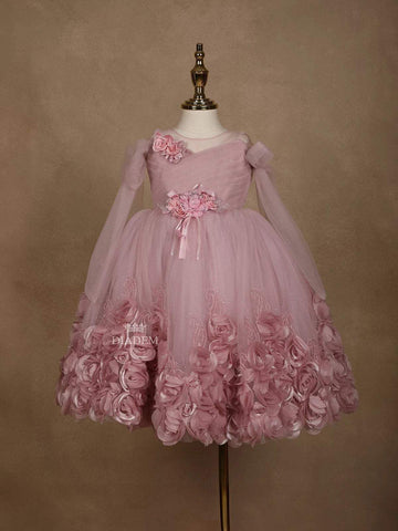 Light Pink Net Gown Embellished with 3DFlowers - Diadem