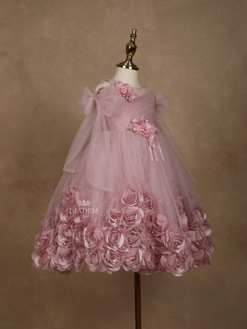 Light Pink Net Gown Embellished with 3DFlowers - Diadem