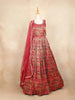 Red Pink Gown with Mirror Work, Floral Design and Dupatta - Diadem
