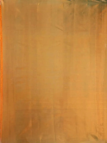 Light Green Pure Kanchipuram Bridal Silk Saree with Stripes Design on the Body with Zari Border - Diadem