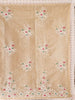 Light Beige Tissue Banarasi Saree with Chikankari work on the Body and Floral Lace Border - Diadem