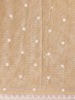 Light Beige Tissue Banarasi Saree with Chikankari work on the Body and Floral Lace Border - Diadem