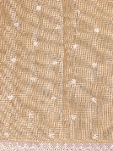 Light Beige Tissue Banarasi Saree with Chikankari work on the Body and Floral Lace Border - Diadem