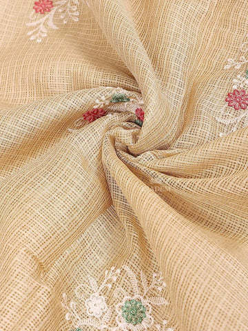 Light Beige Tissue Banarasi Saree with Chikankari work on the Body and Floral Lace Border - Diadem