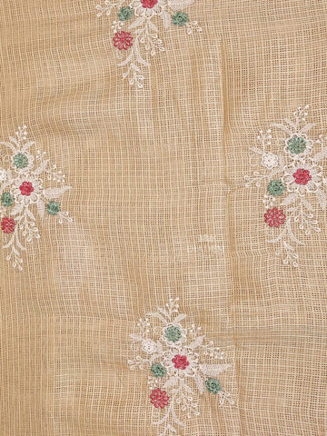 Light Beige Tissue Banarasi Saree with Chikankari work on the Body and Floral Lace Border - Diadem