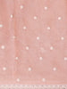 Onion Pink Tissue Banarasi Saree with Chikankari work on the Body and Floral Lace Border - Diadem