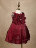 Dark Red 3D Floral Designed Party Gown for Girls - Diadem
