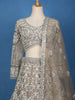 Beige Floral Embroidery Net Lehenga - Diadem