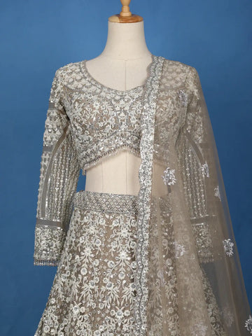 Beige Floral Embroidery Net Lehenga - Diadem