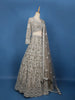 Beige Floral Embroidery Net Lehenga - Diadem