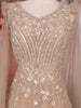 Beige Sequins and Beads Embroidered Design Net Gown