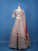 Blush Pink Floral Embroidered Net Lehenga for Brides - Diadem