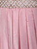 Blush Pink Mirror with Sequin Embellishments Georgette Skirt Top - Diadem